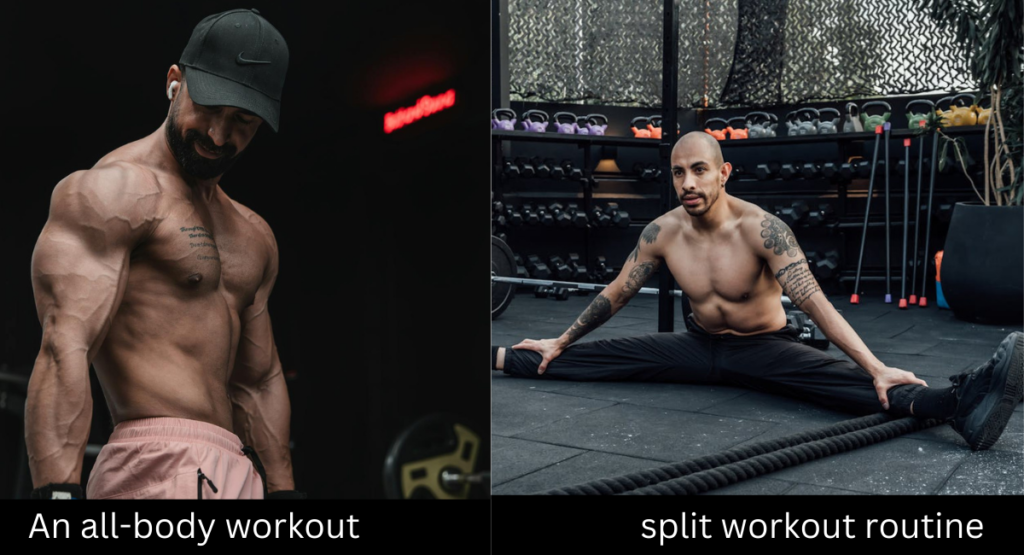 split workout routine vs. an all-body workout