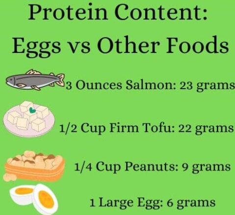 protein content nutrition and eggs