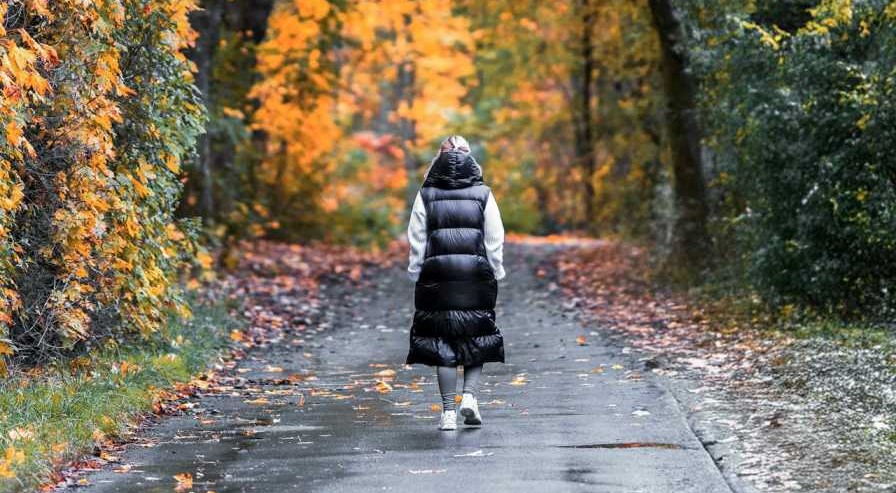 brisk walking Weight Loss